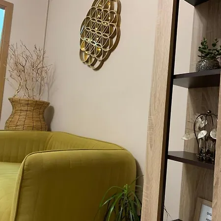 Maya * Клуж-Напока