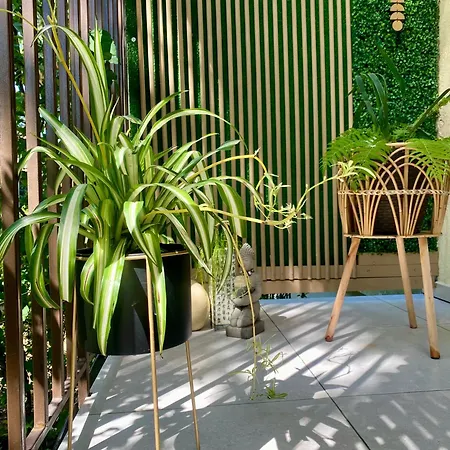 Maya Appartement Cluj-Napoca