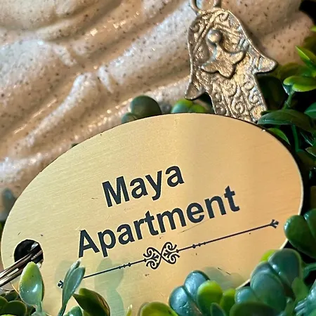 Maya Cluj-Napoca