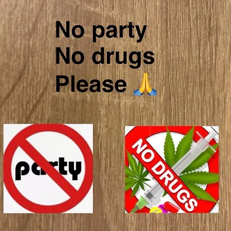 Maya Клуж-Напока