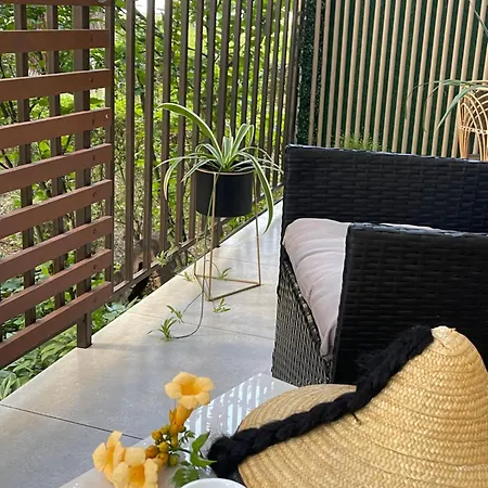 Maya Клуж-Напока