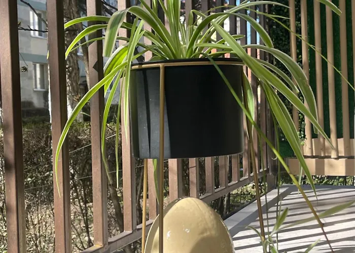 Maya Apartamento Cluj-Napoca